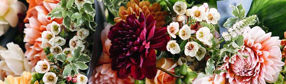 Florists, Floral Arrangements, Bouquets in the Montgomery County, PA area