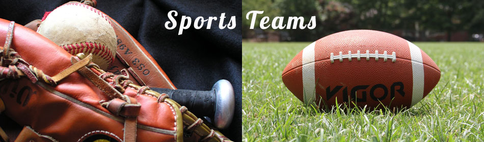Sports teams, football, baseball, hockey, minor league teams in the Montgomery County, PA area